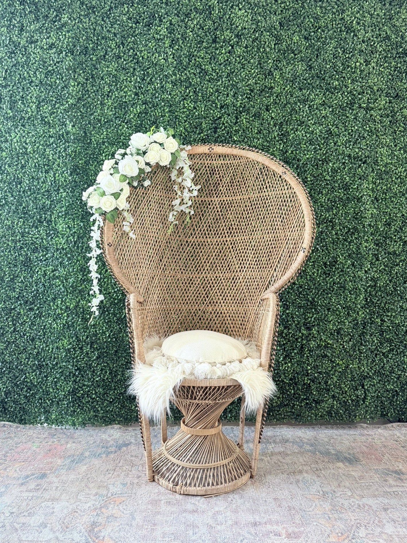 Peacock Chair