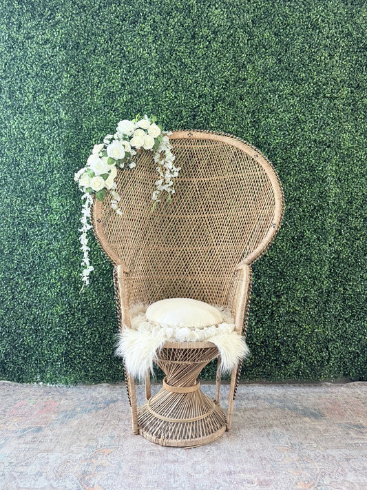 Peacock Chair