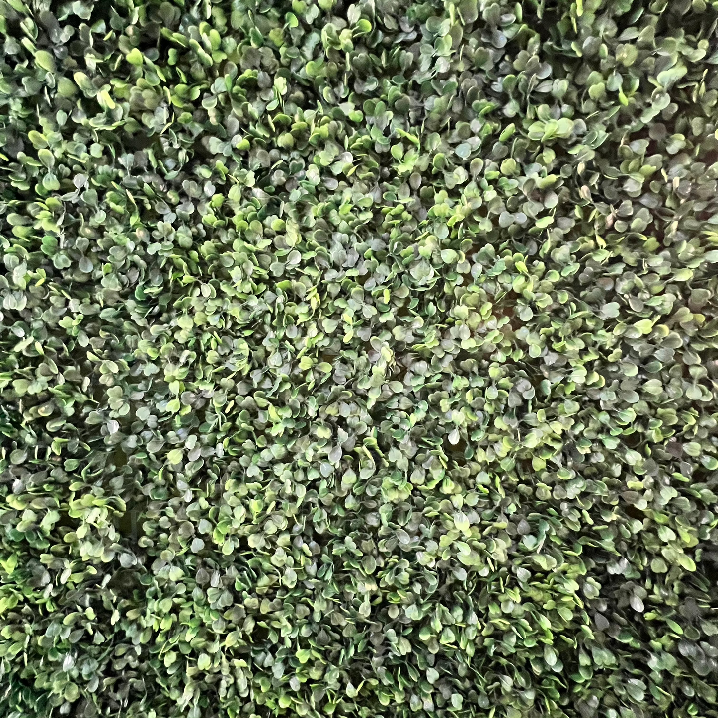 Green Wall Rentals | Luxury Wall Rentals | Fantasy Flower Walls