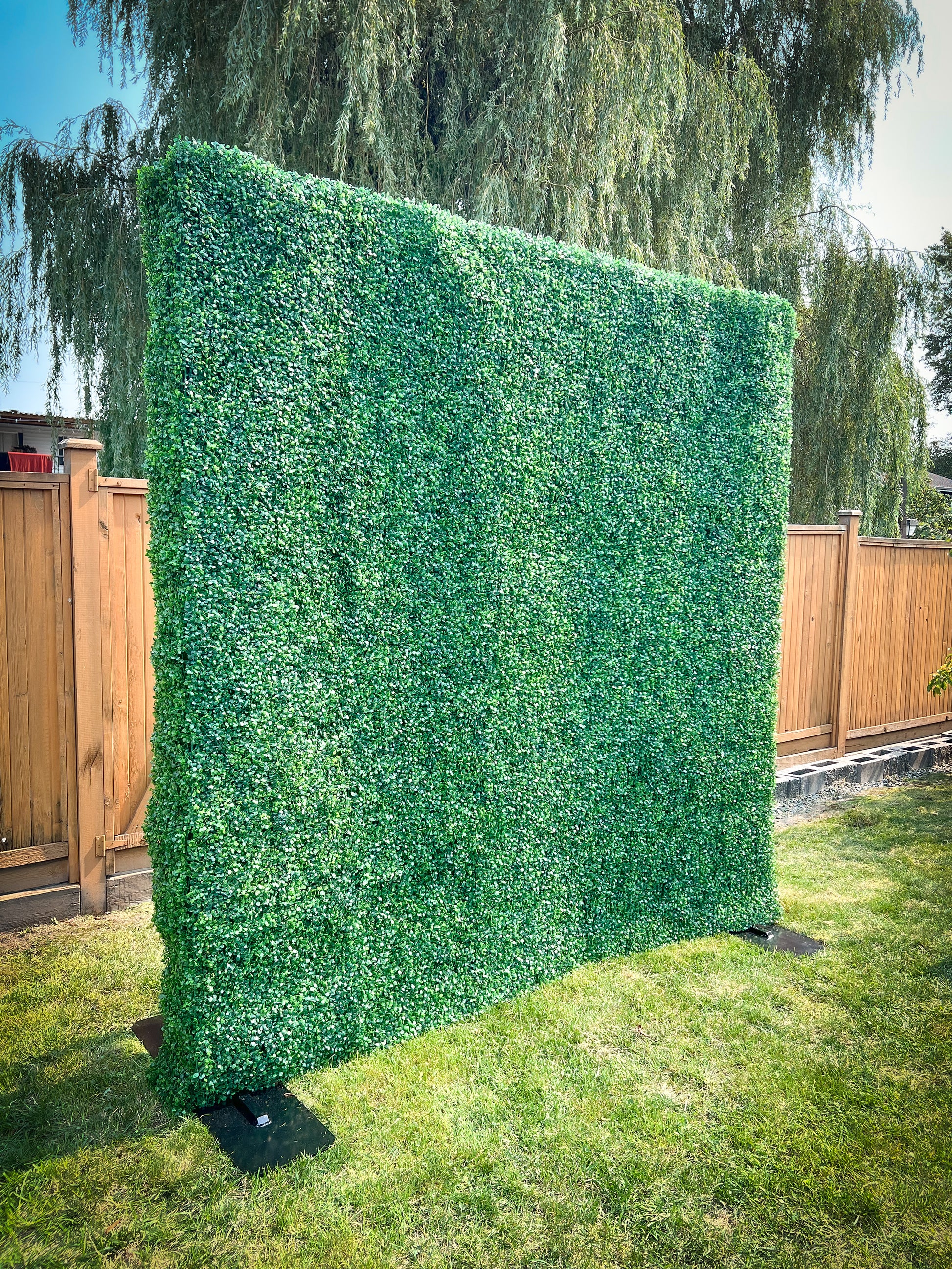 Green Wall Rentals | Luxury Wall Rentals | Fantasy Flower Walls 
