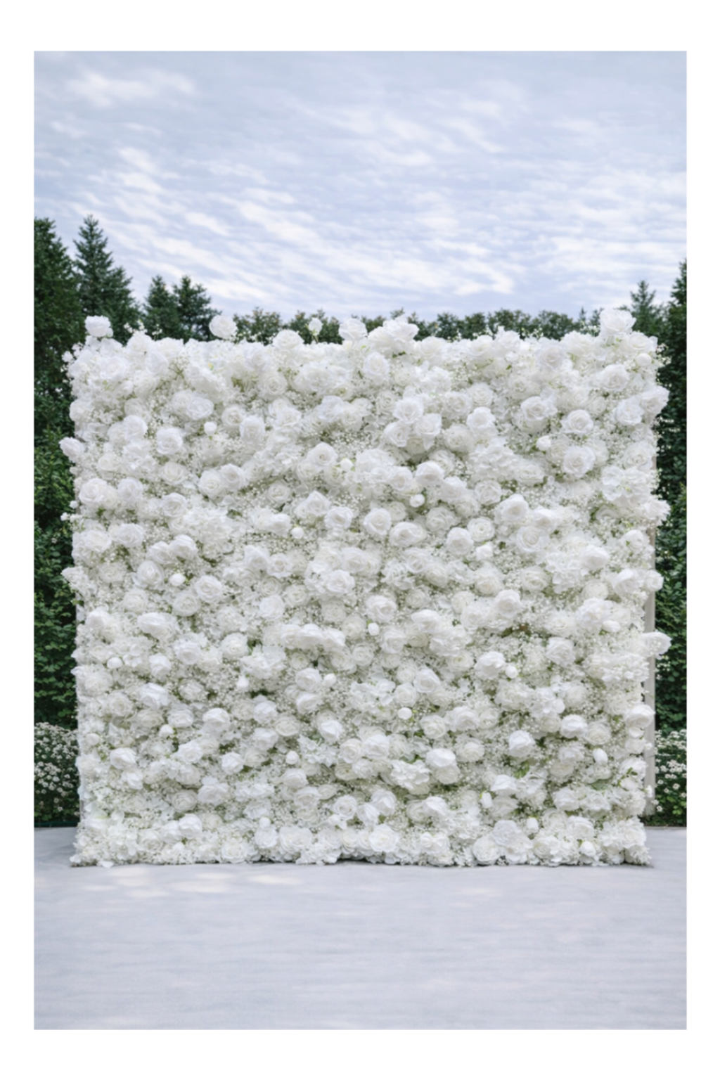 White Wall - Premium