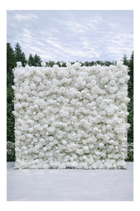 White Wall - Premium
