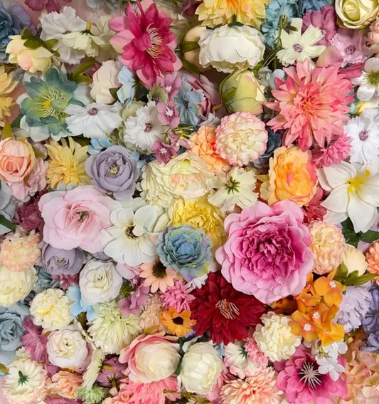 Colourful Flowers