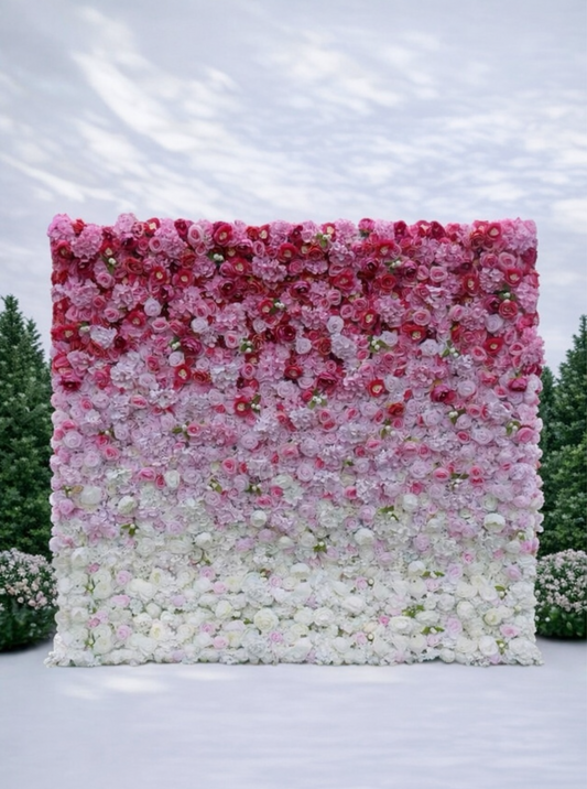 Pink Ombré Wall - Premium