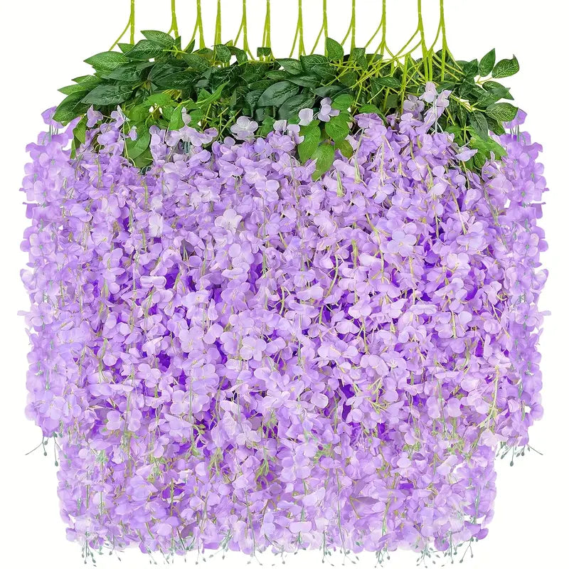 Wisteria Flowers